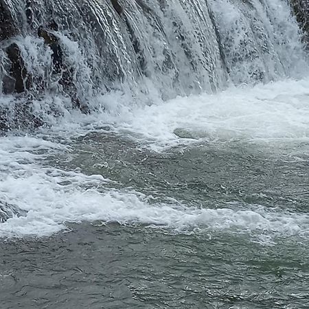 Domki Nad Stebnikiem Ustrzyki Dolne Dış mekan fotoğraf